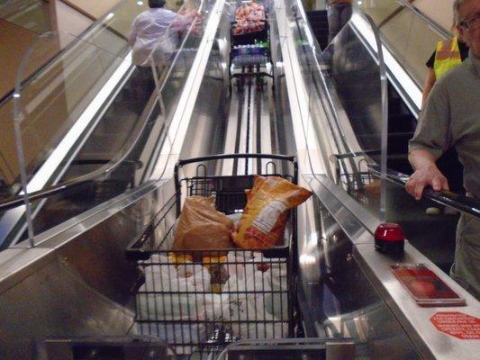 Shopping cart going down the escalator