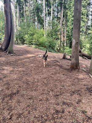 My boys having fun exploring