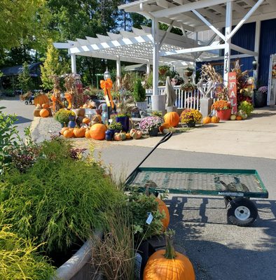 Beautiful Fall display.