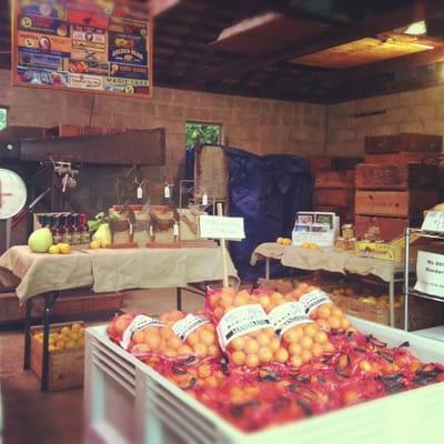 Cool old time feel fruit stand!