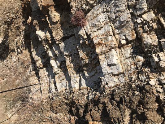 Weather rock along the trail