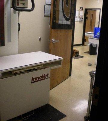 X-Ray Room Here is where Dr. VanDaele and the veterinary technicians perform x-rays on a wide variety of pets...