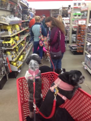 Waiting in line for vaccinations