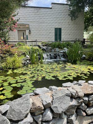 Pond outside nature center