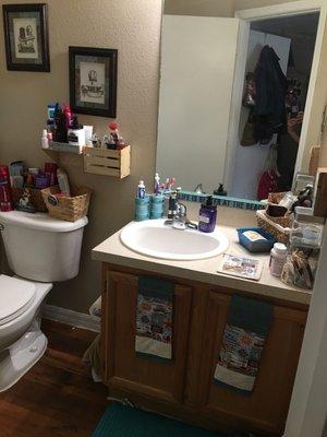 Master bathroom