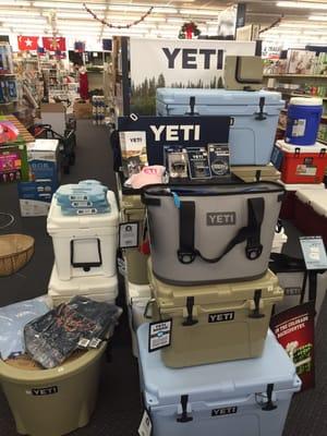 Yeti