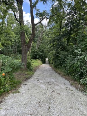 After cleaning up and hauling everything away the customer was very happy to be able to use her driveway.