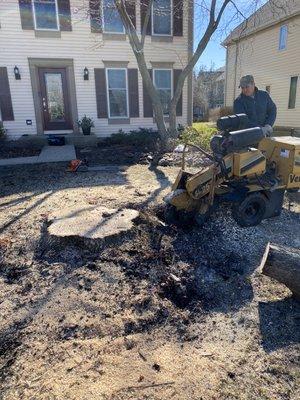 Stump grinding in Buffalo Grove, Illinois