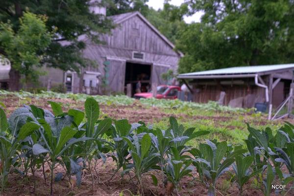 NCOF is open daily, during daylight hours, for visits and for purchases. There is no admission fee