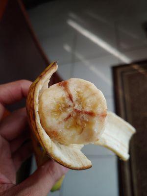 Bananas possibly infected with nigrospora?