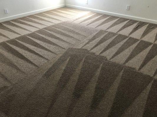 Steam Carpet Cleaning