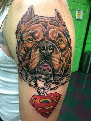 Superman Pitbull by Jeremy