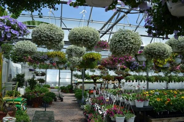 Countryside Floral And Greenhouses