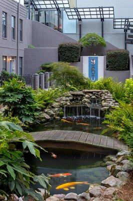 Koi pond | Buckhead 960