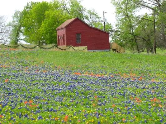 Our Saltbox Private Cottage in Spring!