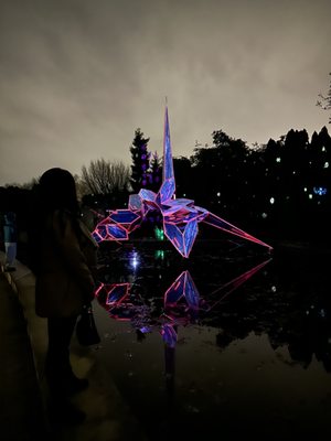 Night Forms at Grounds for Sculpture