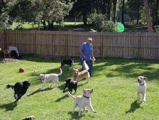 Plantation Pet Resort's frisbee tournament