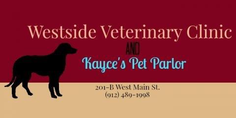 Westside Veterinary Hospital