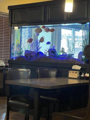 Love the fish tank!