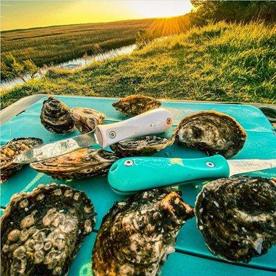 Toadfish oyster shuckers