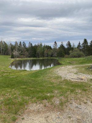 Pond on property