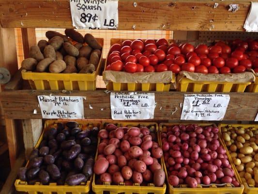 Variety of potatoes