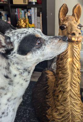 Large ceramic llama (alpaca?). Dog for scale.