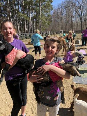 Goat Yoga