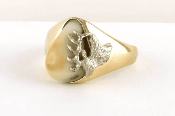 Custom Elk Ivory Ring -- we build custom jewelry with elk ivories: rings, earrings, necklaces, cuff links... you name it!