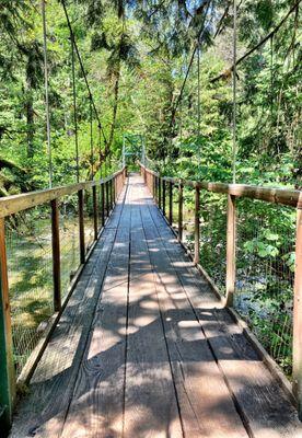 Eagle Fern Park