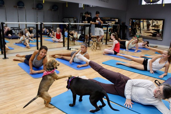 Our Pups and Pilates event!