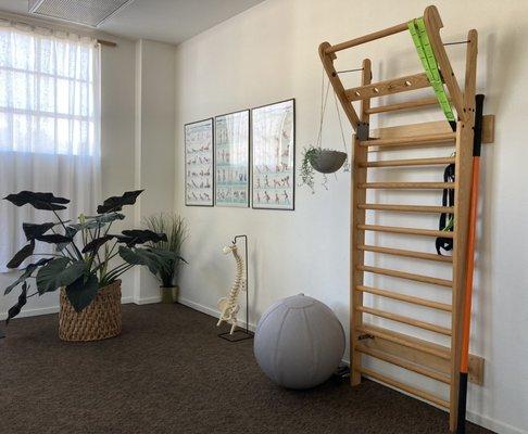 Physical Therapy treatment room