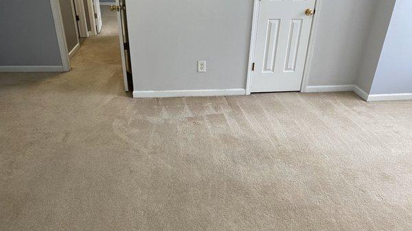 Carpet cleaning