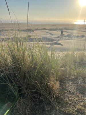 Pacific Beach State Park