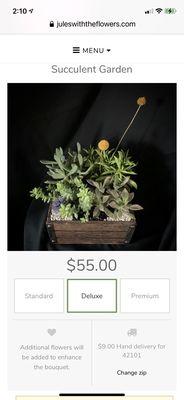 Deluxe Succulent Garden with description