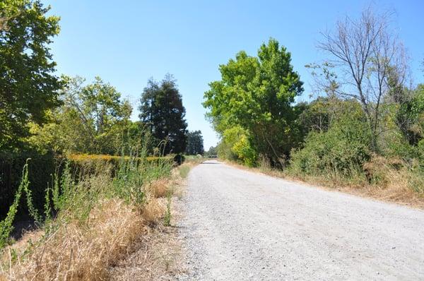 The beautiful Coyote Creek trail is located right behind the Mil-Techs building.