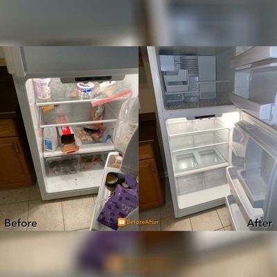 Before & After refrigerator cleaning