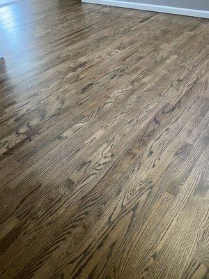 Refinished & Stained floor