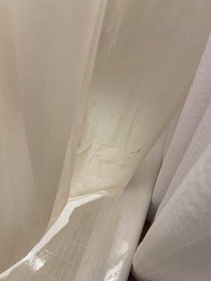 Mold and mildew in shower curtain and liner