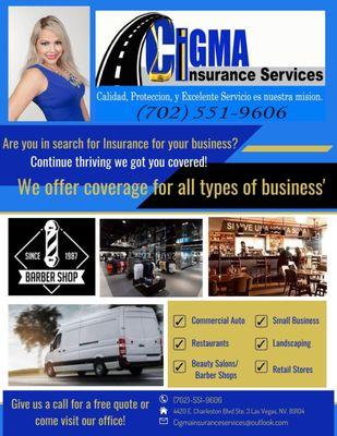 Proerty & Casualty 
Cigma Services LLC