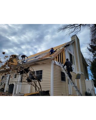 Tree damage repair North East, MD