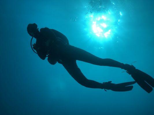 Diving in Mexico with Hollywood divers - Cabo Pulmo