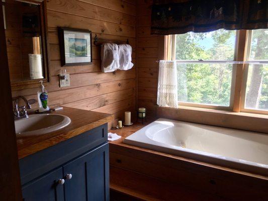 Robin's Nest Cabin - Master Bath w/ Jacuzzi Tub