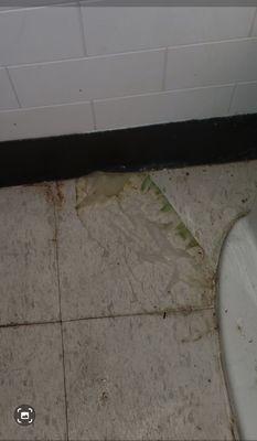 Dirty bathroom floors