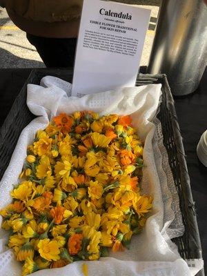 Calendula flowers