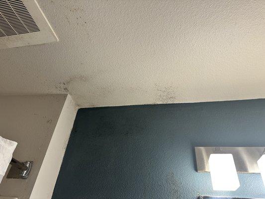 Mold in the bathroom on the ceiling and wall near the shower and vent that also doesn't work