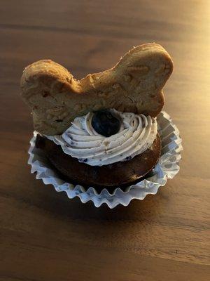 PupCake