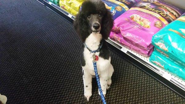 HIs first hair cut and it was PERFECT!!