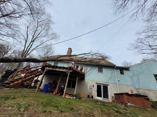 Large removal of uprooted tree on house all rope and pulley rigging removal no room for a crane