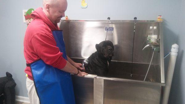 We have tubs big enough to fit a Canine Carso. Customers are welcomed to bring there own supplies.